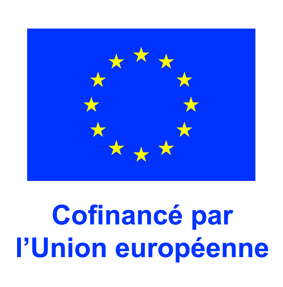 FR V Cofinancé par lUnion européenne POS