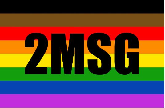 logo 2msg